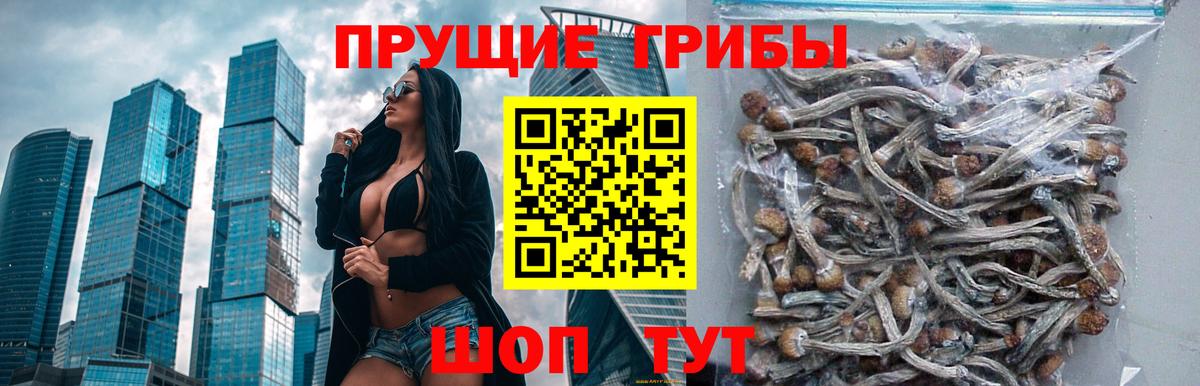 Йошкар-Ола  продажа наркотиков  Вход с VPN  Галлюциногенные грибы Psilocybe 